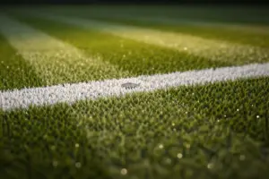 Superficie de hierba en Wimbledon: estadísticas de apuesta